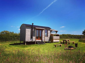 Shepherds Hut in a private meadow with sea views